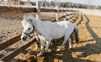 Similar image 770431