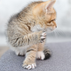 Similar image 770445