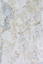 Similar image 770555