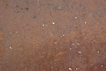 Similar image 770585