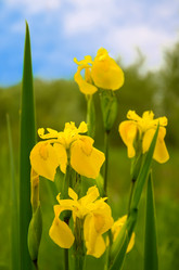 Similar image 770668