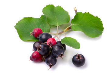 Similar image 770679