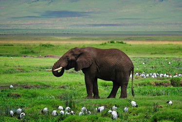 Similar image 770680