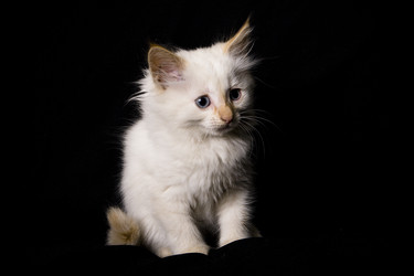 Similar image 770690