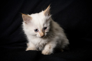 Similar image 770692