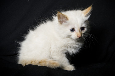 Similar image 770695