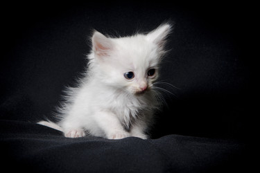 Similar image 770697