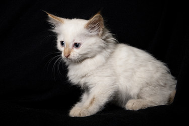 Similar image 770699