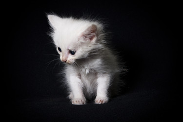 Similar image 770702