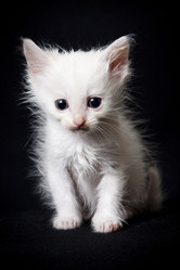 Similar image 770703