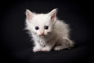 Similar image 770707