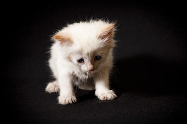 Similar image 770713