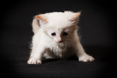 Similar image 770715