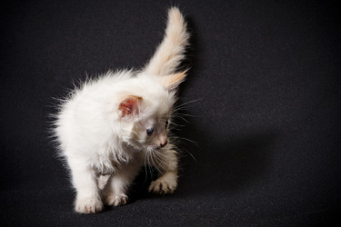 Similar image 770716