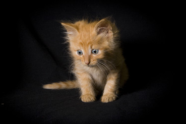 Similar image 770719