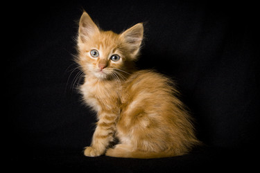 Similar image 770720