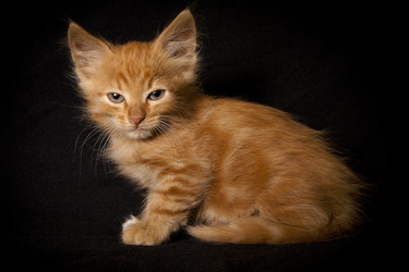 Similar image 770722