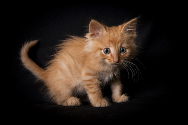 Similar image 770725