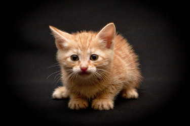 Similar image 770727