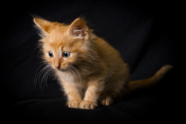 Similar image 770729