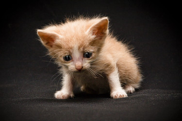 Similar image 770731