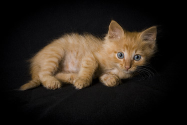 Similar image 770735