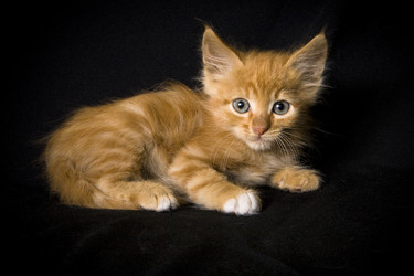 Similar image 770736