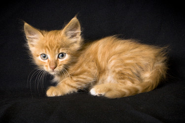 Similar image 770738