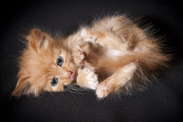 Similar image 770739