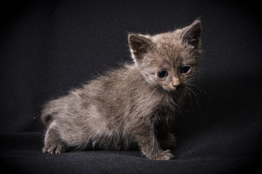 Similar image 770751