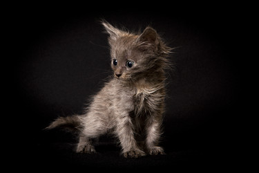 Similar image 770752