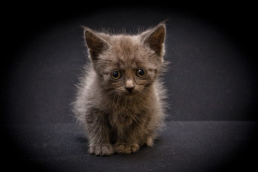 Similar image 770760