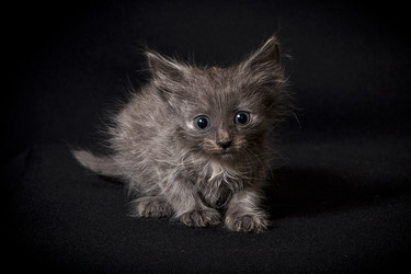 Similar image 770770