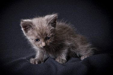 Similar image 770773