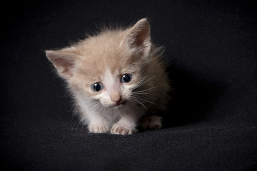 Similar image 770779