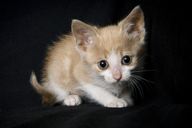 Similar image 770784