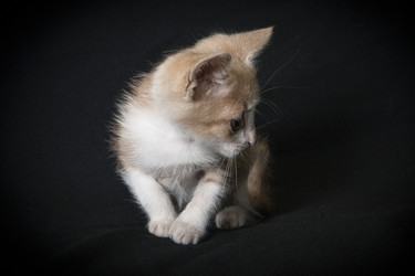 Similar image 770787