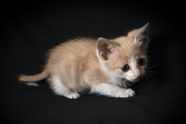 Similar image 770791