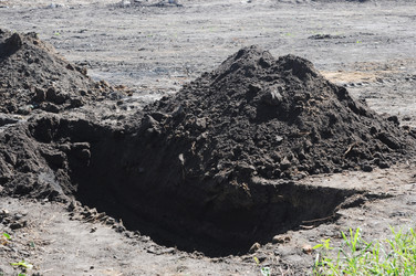 Similar image 770793