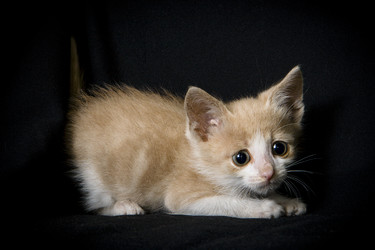 Similar image 770796