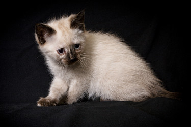 Similar image 770805