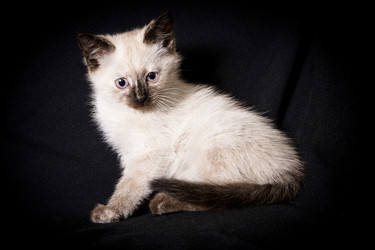 Similar image 770806