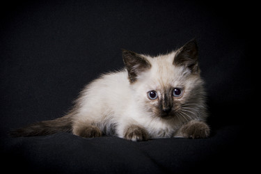 Similar image 770807