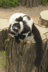 Similar image 770815