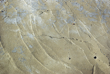 Similar image 770834