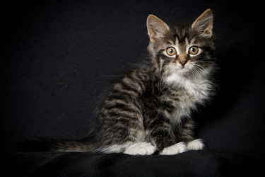 Similar image 770836