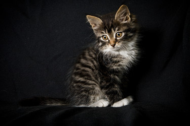 Similar image 770845