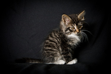 Similar image 770847