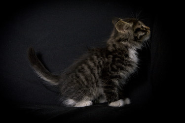 Similar image 770848