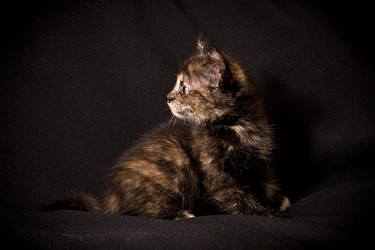 Similar image 770854